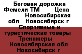 Беговая дорожка Фемели ТМ-100 › Цена ­ 16 000 - Новосибирская обл., Новосибирск г. Спортивные и туристические товары » Тренажеры   . Новосибирская обл.,Новосибирск г.